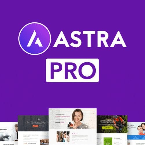 Astra Theme Addon Pro v 4.11.11 WordPress